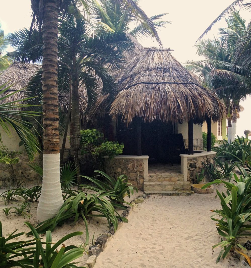 A Mountain Pose That Claimed My Career