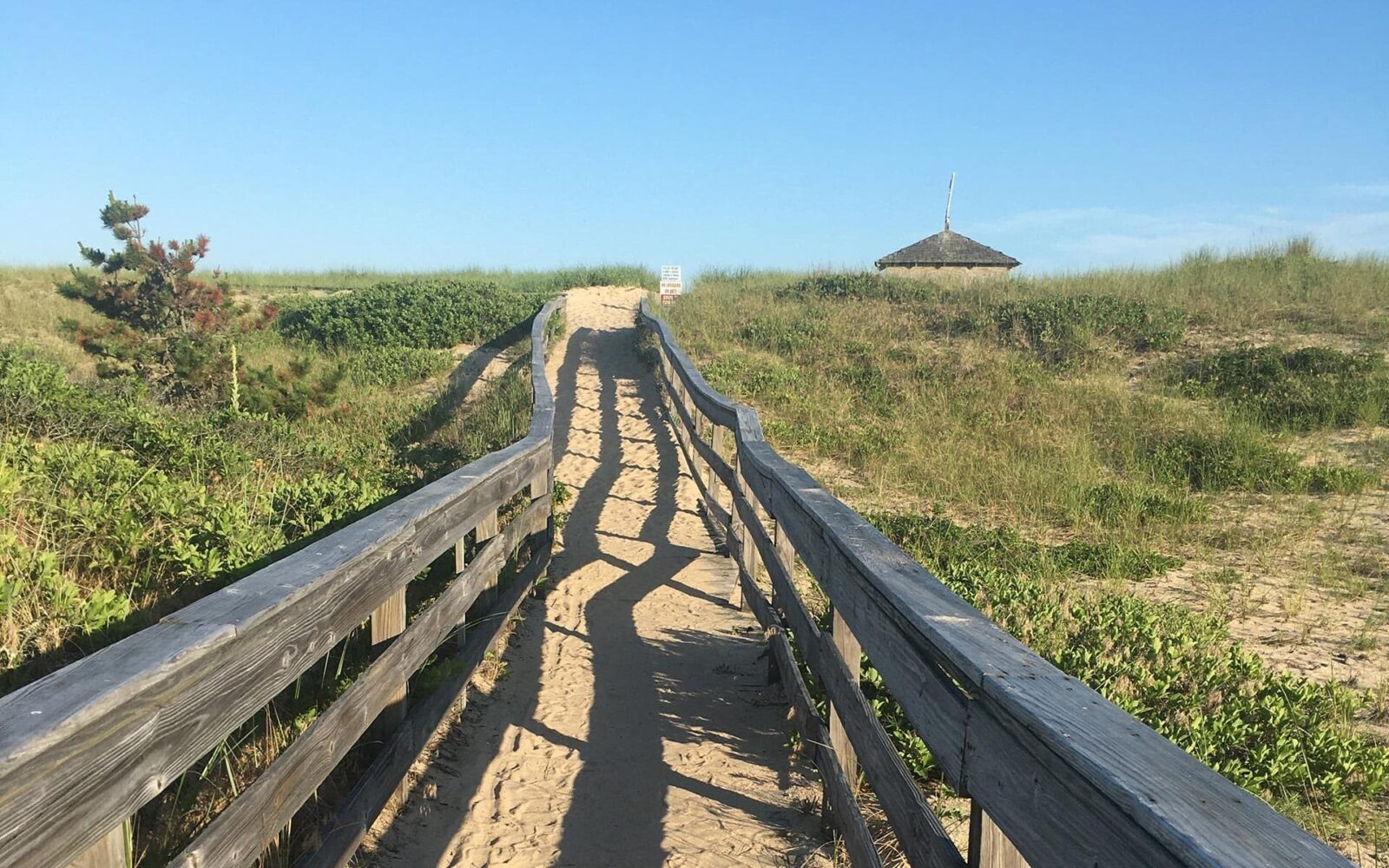 Why We Need to Be More Intuitive at This Moment