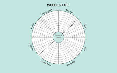 How Balanced is Your Wheel? Find out here…