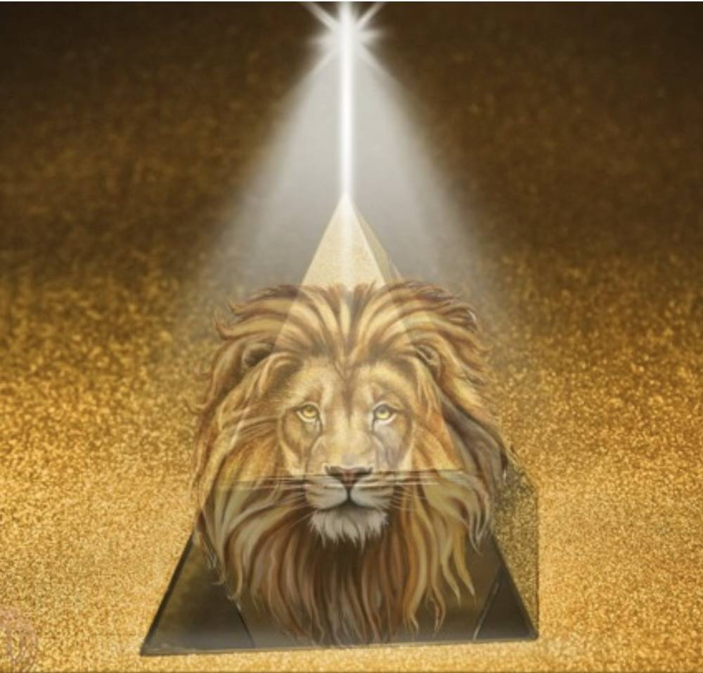 YOU’RE INVITED—Lion’s Gate Rooftop Meditation!