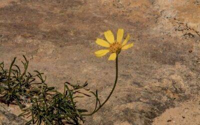 Your Invisible Power