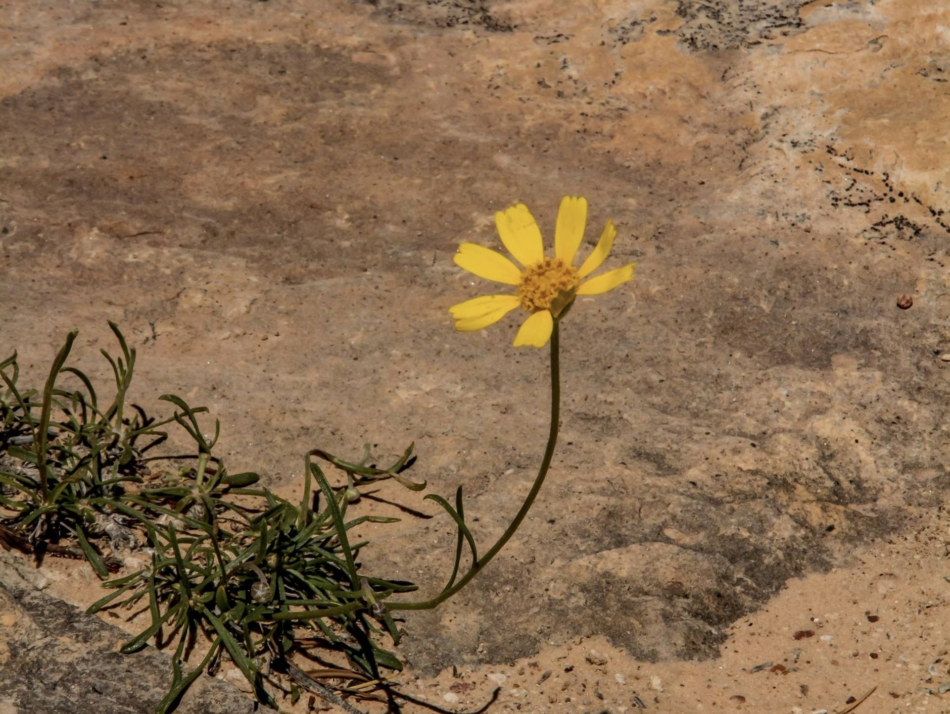 Your Invisible Power